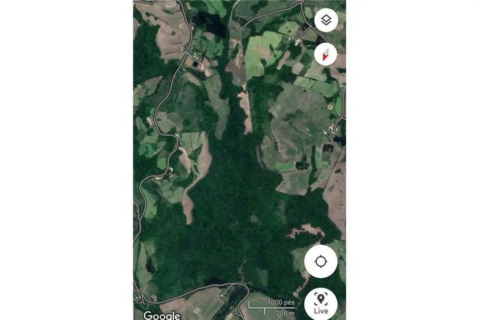 Foto 3 de Fazenda / Haras à venda, 500000m2 em Tunas - RS