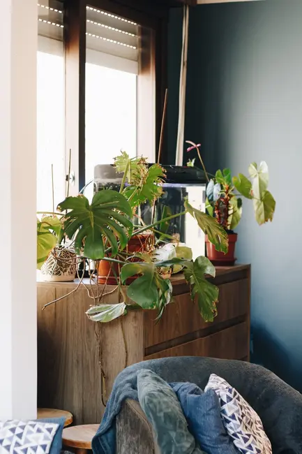 Foto 6 de Apartamento com 1 quarto à venda, 60m2 em Independência, Porto Alegre - RS