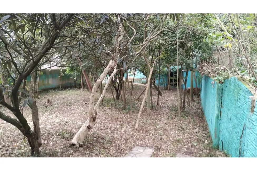 Foto 7 de Fazenda / Haras à venda, 640m2 em Ipanema, Porto Alegre - RS