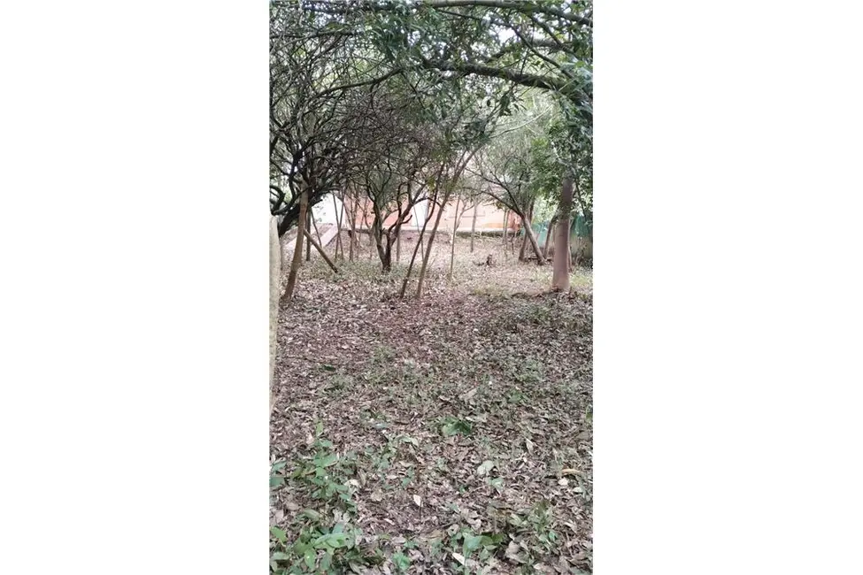 Foto 9 de Fazenda / Haras à venda, 640m2 em Ipanema, Porto Alegre - RS