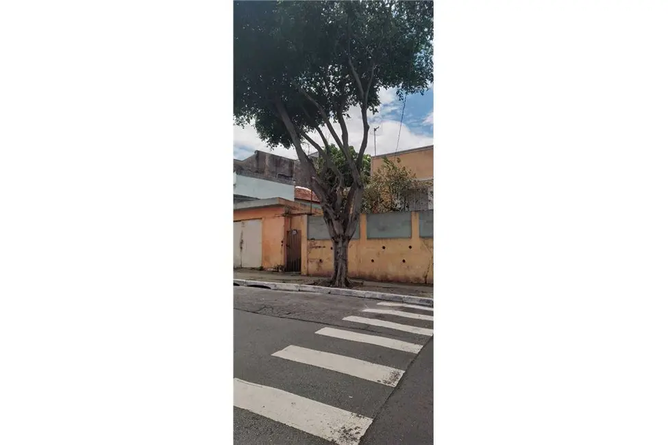 Casa com 4 quartos à venda, 80m2 em Vila Matilde, São Paulo - SP - imagem 3 Foto 3 de Casa com 4 quartos à venda, 80m2 em Vila Matilde, São Paulo - SP