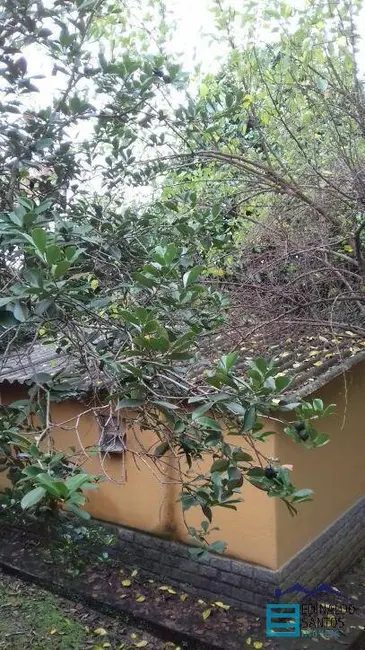 Terreno / Lote à venda, 300m2 em Nova Era, Juiz De Fora - MG - imagem 8 Foto 8 de Terreno / Lote à venda, 300m2 em Nova Era, Juiz De Fora - MG
