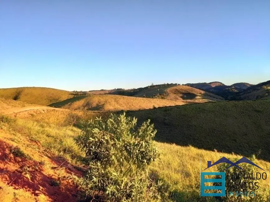 Foto 3 de Chácara à venda, 20000m2 em Santa Cruz, Juiz De Fora - MG