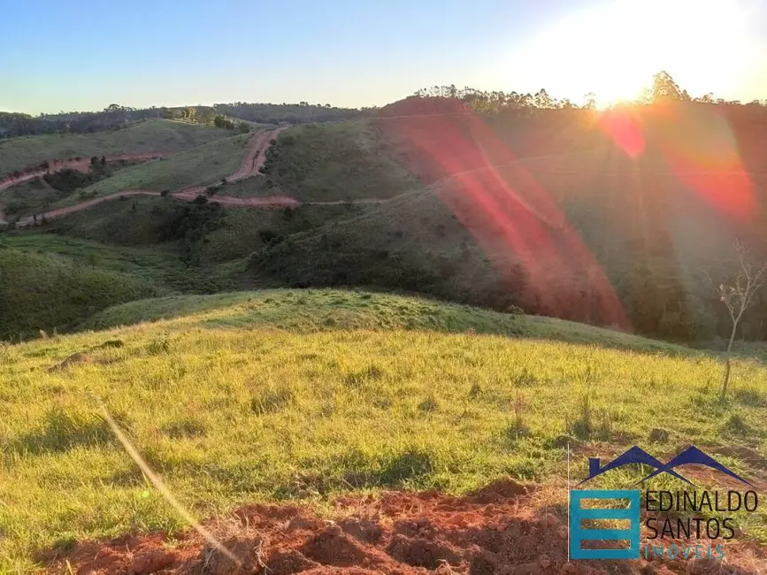 Foto 4 de Chácara à venda, 20000m2 em Santa Cruz, Juiz De Fora - MG