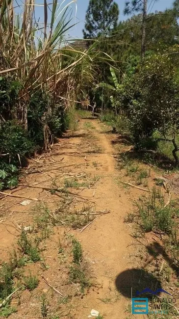 Foto 6 de Chácara com 2 quartos à venda, 6000m2 em Juiz De Fora - MG