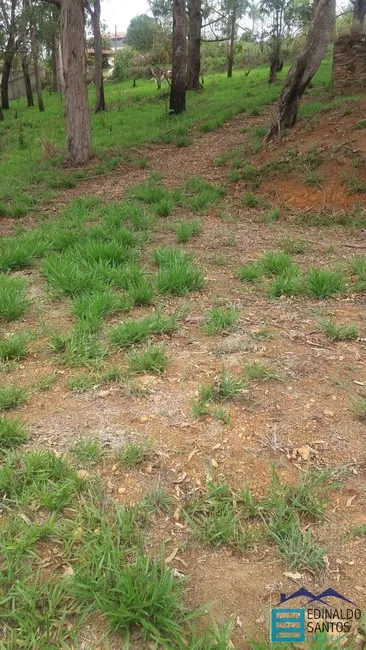 Foto 7 de Terreno / Lote à venda, 825m2 em Juiz De Fora - MG