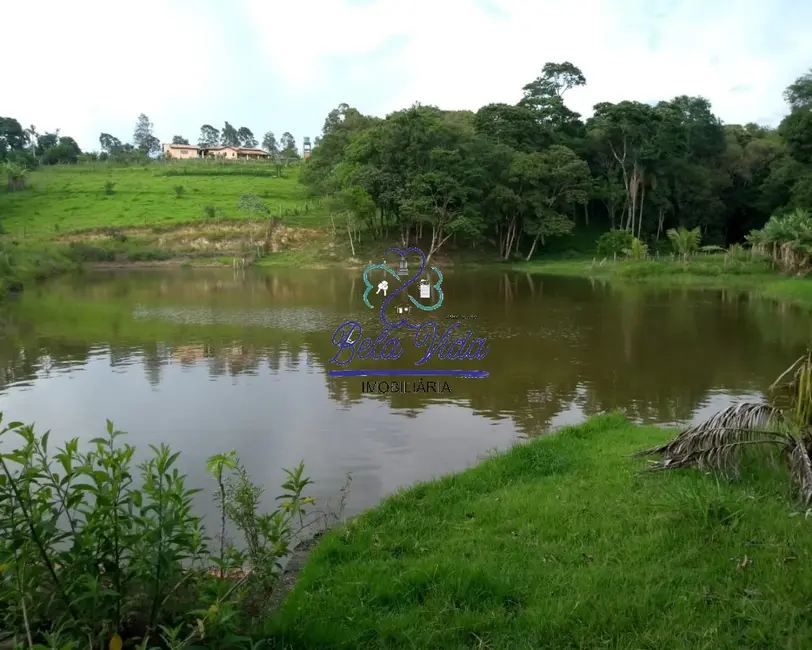 Foto 5 de Terreno / Lote à venda, 28000m2 em Elias Fausto - SP