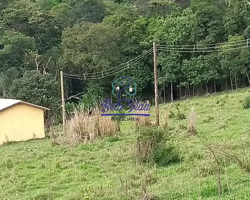 Foto 6 de Terreno / Lote à venda, 28000m2 em Elias Fausto - SP