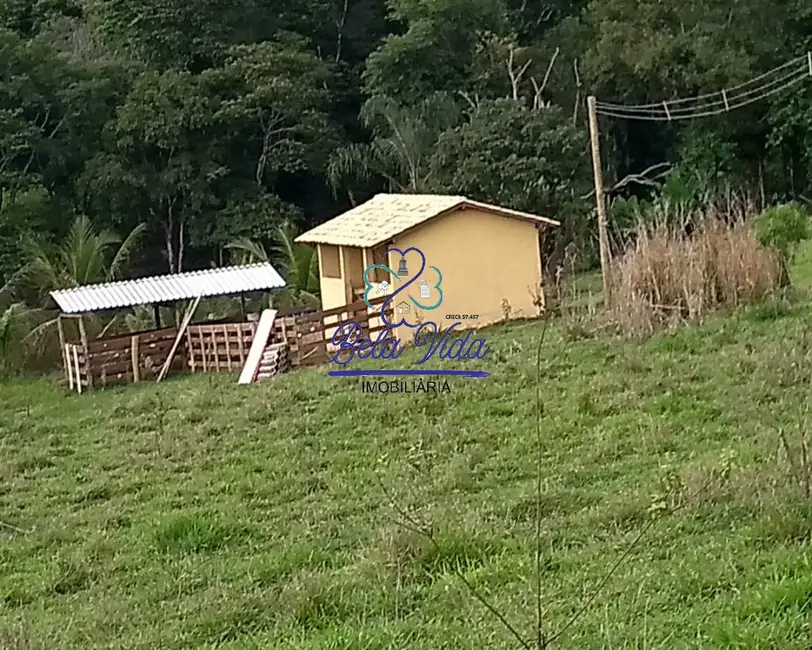 Foto 4 de Terreno / Lote à venda, 28000m2 em Elias Fausto - SP