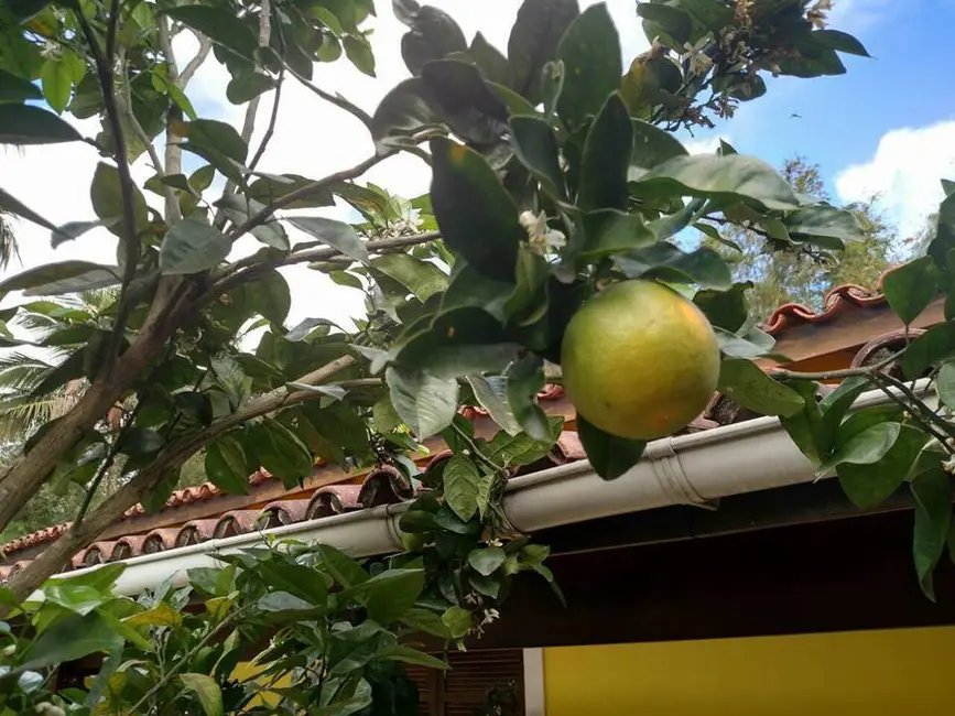 Foto 6 de Casa com 6 quartos à venda, 700m2 em Massaguaçu, Caraguatatuba - SP