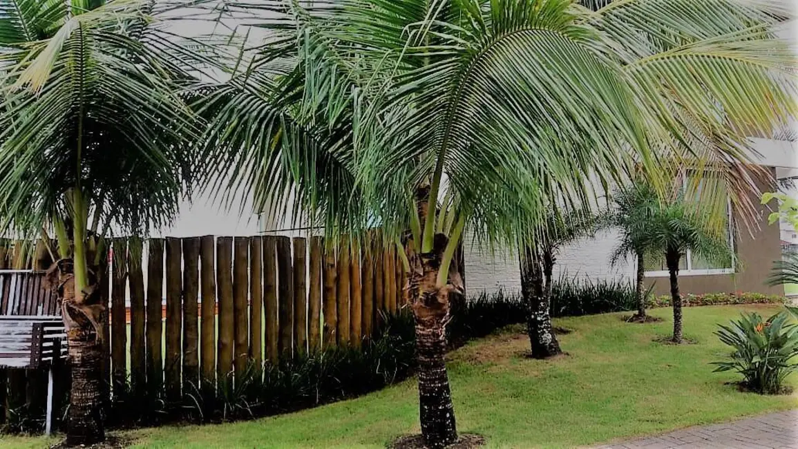 Foto 8 de Sobrado com 4 quartos à venda, 860m2 em Massaguaçu, Caraguatatuba - SP