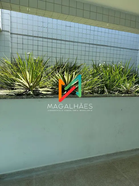 Foto 4 de Apartamento com 1 quarto para alugar, 33m2 em Barra de Jangada, Jaboatao Dos Guararapes - PE