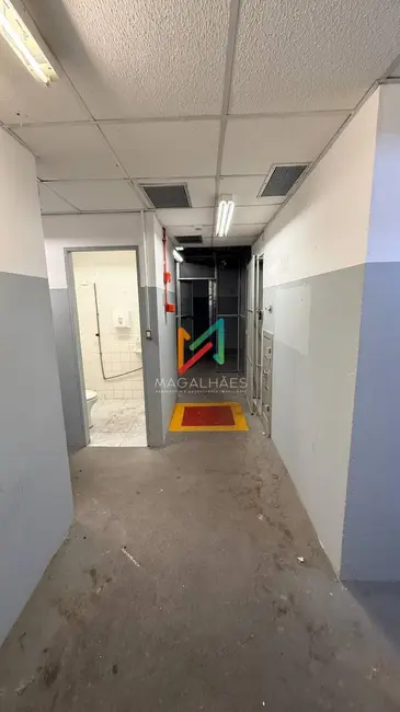 Sala Comercial para alugar, 509m2 em Casa Forte, Recife - PE - imagem 7 Foto 7 de Sala Comercial para alugar, 509m2 em Casa Forte, Recife - PE