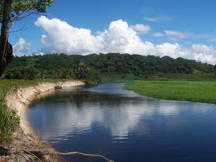 Fazenda / Haras à venda, 400000m2 em Ilheus - BA - imagem 6 Foto 6 de Fazenda / Haras à venda, 400000m2 em Ilheus - BA