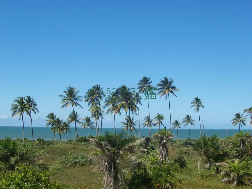 Fazenda / Haras à venda, 400000m2 em Ilheus - BA - imagem 9 Foto 9 de Fazenda / Haras à venda, 400000m2 em Ilheus - BA