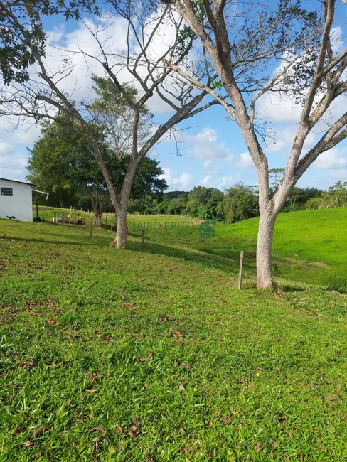 Fazenda / Haras com 10 quartos à venda, 134m2 em Centro, Ilheus - BA - imagem 7 Foto 7 de Fazenda / Haras com 10 quartos à venda, 134m2 em Centro, Ilheus - BA