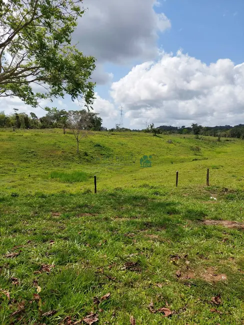 Fazenda / Haras com 10 quartos à venda, 134m2 em Centro, Ilheus - BA - imagem 3 Foto 3 de Fazenda / Haras com 10 quartos à venda, 134m2 em Centro, Ilheus - BA