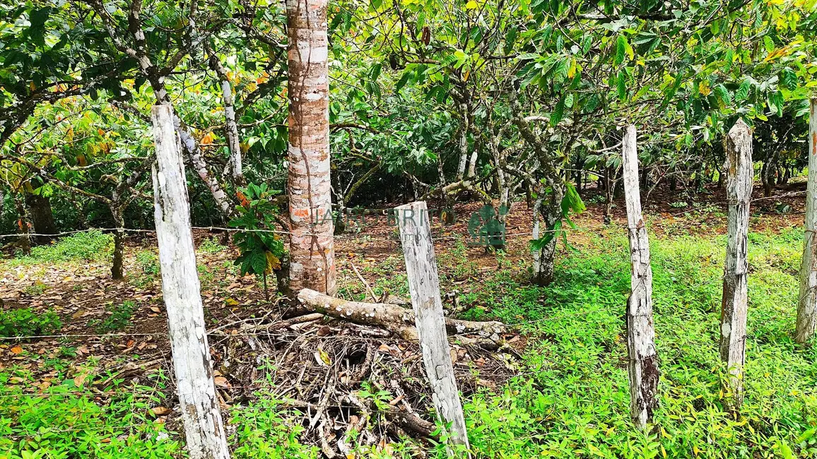 Fazenda / Haras com 6 quartos à venda, 196m2 em Nossa Senhora da Vitória, Ilheus - BA - imagem 9 Foto 9 de Fazenda / Haras com 6 quartos à venda, 196m2 em Nossa Senhora da Vitória, Ilheus - BA