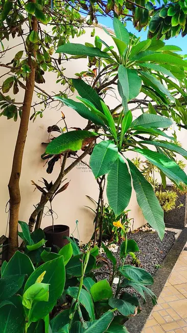 Casa com 4 quartos à venda, 220m2 em Pontal, Ilheus - BA - imagem 9 Foto 9 de Casa com 4 quartos à venda, 220m2 em Pontal, Ilheus - BA