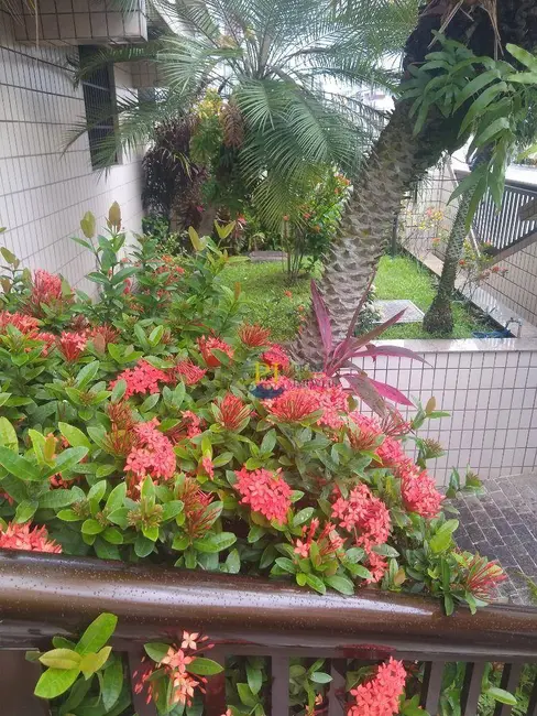 Foto 6 de Cobertura com 3 quartos à venda, 178m2 em Praia Grande - SP