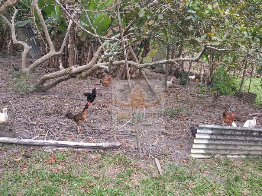 Foto 9 de Sítio / Rancho à venda, 72000m2 em Jacupiranga - SP