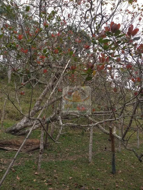 Foto 7 de Sítio / Rancho à venda, 72000m2 em Jacupiranga - SP