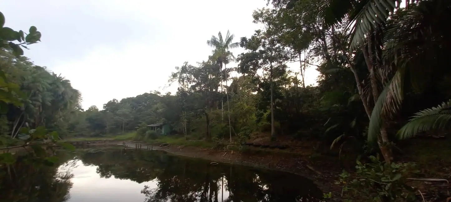 Terreno / Lote à venda e para alugar, 36783m2 em Puraquequara, Manaus - AM - imagem 1 Foto 1 de Terreno / Lote à venda e para alugar, 36783m2 em Puraquequara, Manaus - AM