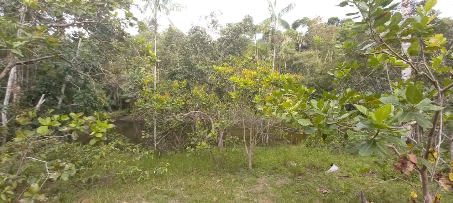 Foto 9 de Terreno / Lote à venda e para alugar, 36783m2 em Puraquequara, Manaus - AM