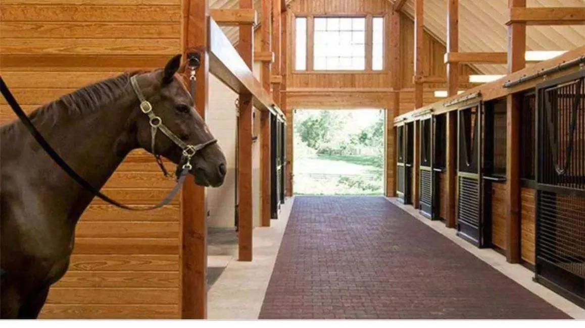 Foto 9 de Lote de Condomínio à venda, 1000m2 em Iranduba - AM