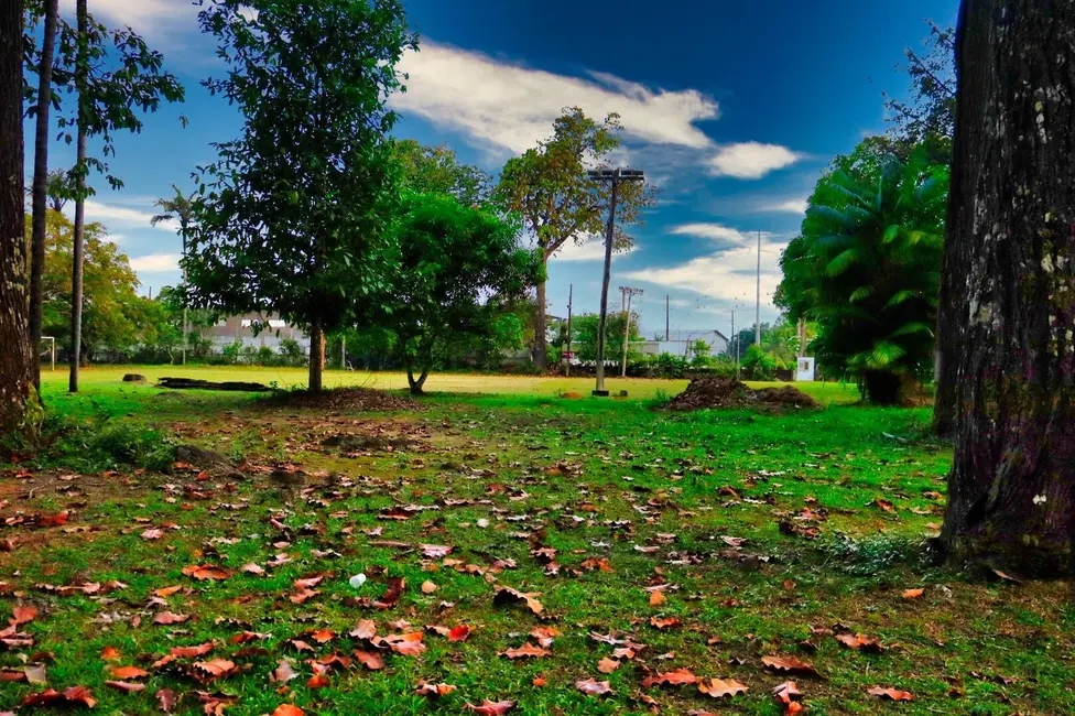 Foto 4 de Terreno / Lote à venda, 48000m2 em Flores, Manaus - AM