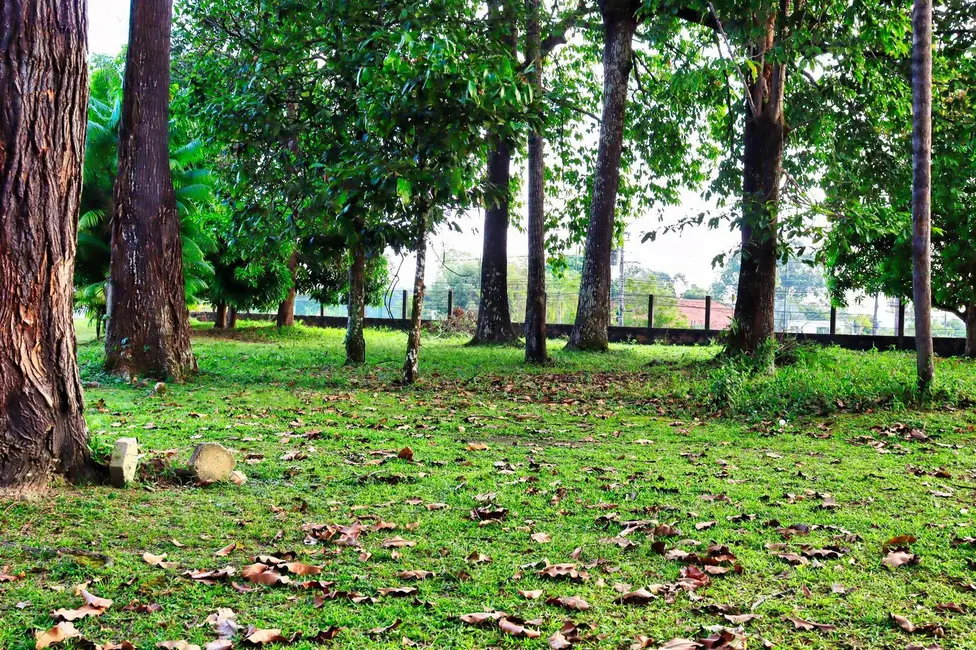 Foto 5 de Terreno / Lote à venda, 48000m2 em Flores, Manaus - AM