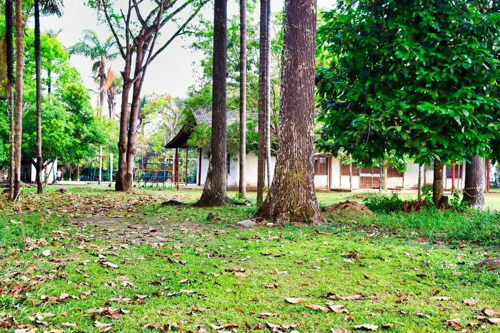 Foto 9 de Terreno / Lote à venda, 48000m2 em Flores, Manaus - AM