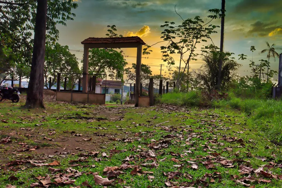 Foto 3 de Terreno / Lote à venda, 48000m2 em Flores, Manaus - AM