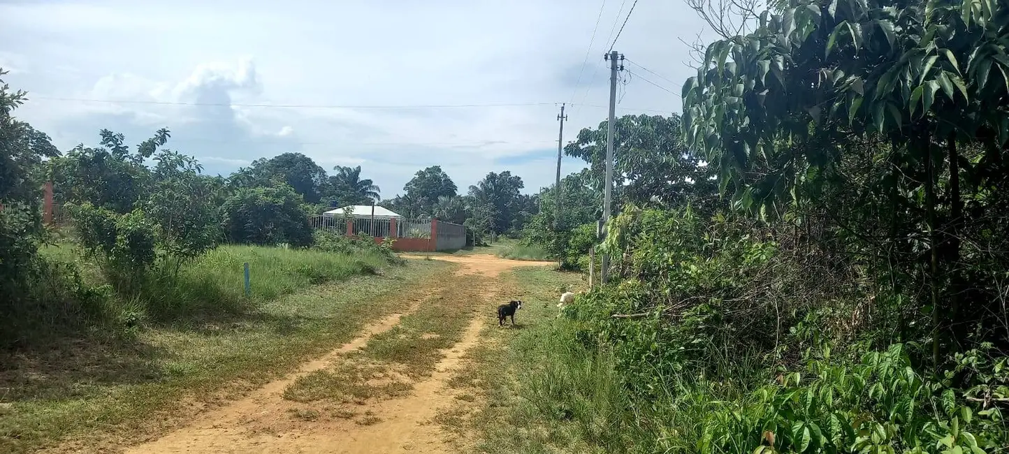 Terreno / Lote à venda, 300m2 em Iranduba - AM - imagem 1 Foto 1 de Terreno / Lote à venda, 300m2 em Iranduba - AM
