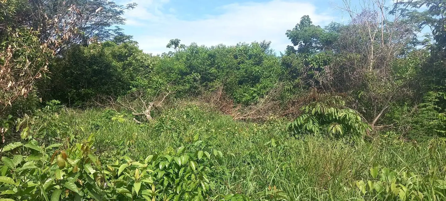 Terreno / Lote à venda, 300m2 em Iranduba - AM - imagem 6 Foto 6 de Terreno / Lote à venda, 300m2 em Iranduba - AM