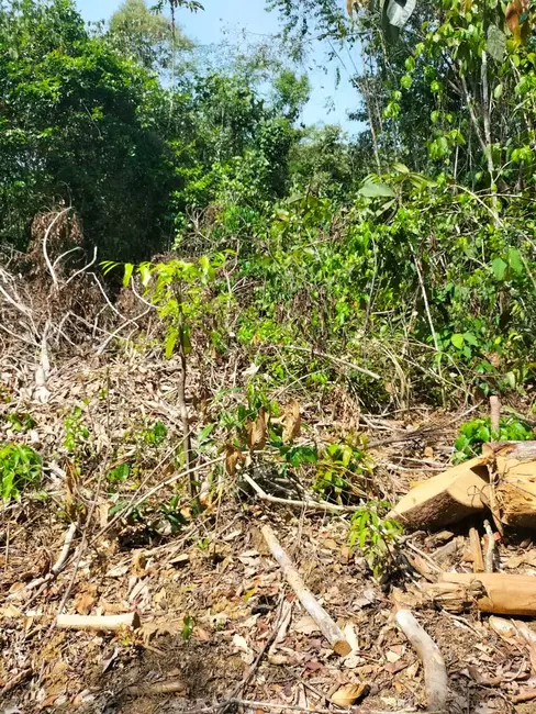 Terreno / Lote à venda, 5200m2 em Iranduba - AM - imagem 5 Foto 5 de Terreno / Lote à venda, 5200m2 em Iranduba - AM