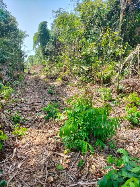 Terreno / Lote à venda, 5200m2 em Iranduba - AM - imagem 4 Foto 4 de Terreno / Lote à venda, 5200m2 em Iranduba - AM