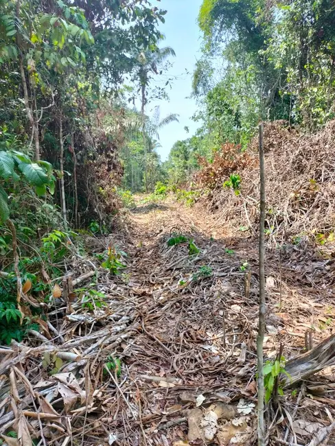 Terreno / Lote à venda, 5200m2 em Iranduba - AM - imagem 6 Foto 6 de Terreno / Lote à venda, 5200m2 em Iranduba - AM