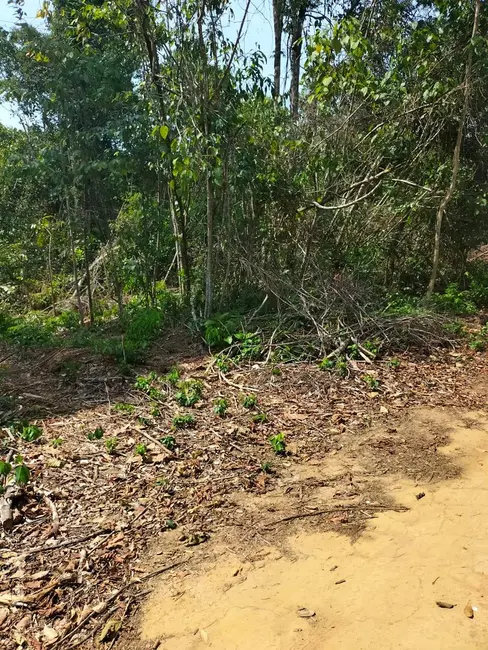 Terreno / Lote à venda, 5200m2 em Iranduba - AM - imagem 3 Foto 3 de Terreno / Lote à venda, 5200m2 em Iranduba - AM