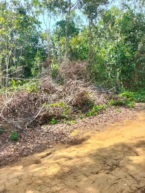 Terreno / Lote à venda, 5200m2 em Iranduba - AM - imagem 8 Foto 8 de Terreno / Lote à venda, 5200m2 em Iranduba - AM