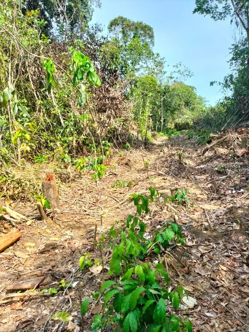 Terreno / Lote à venda, 5200m2 em Iranduba - AM - imagem 9 Foto 9 de Terreno / Lote à venda, 5200m2 em Iranduba - AM