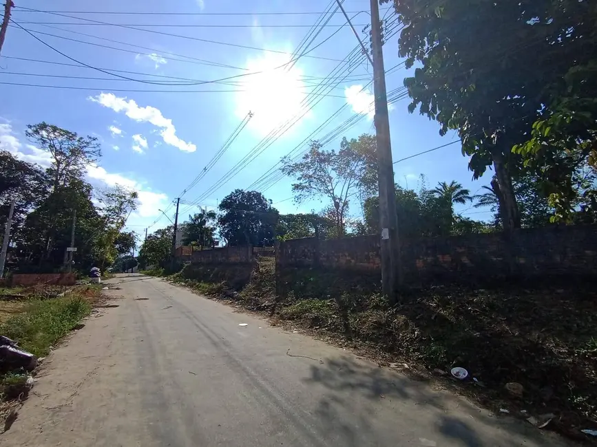 Foto 3 de Terreno / Lote à venda, 4800m2 em Tarumã, Manaus - AM