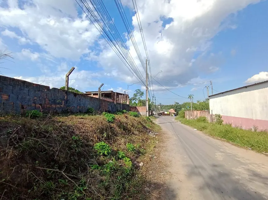 Foto 5 de Terreno / Lote à venda, 4800m2 em Tarumã, Manaus - AM