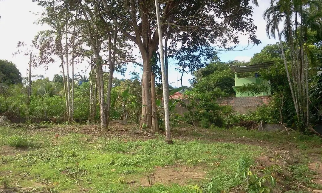 Foto 9 de Terreno / Lote à venda, 4800m2 em Tarumã, Manaus - AM