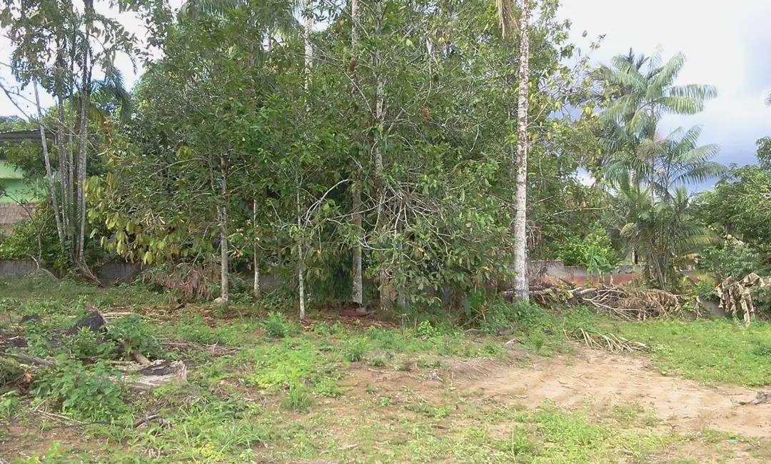 Foto 5 de Terreno / Lote à venda, 4800m2 em Tarumã, Manaus - AM