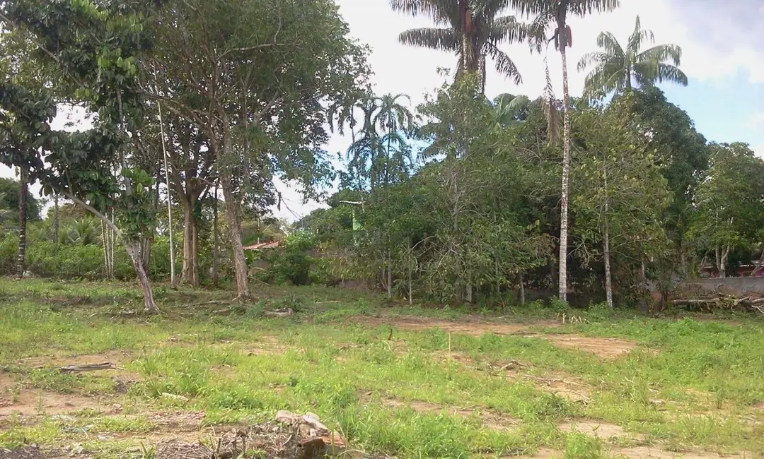 Foto 8 de Terreno / Lote à venda, 4800m2 em Tarumã, Manaus - AM