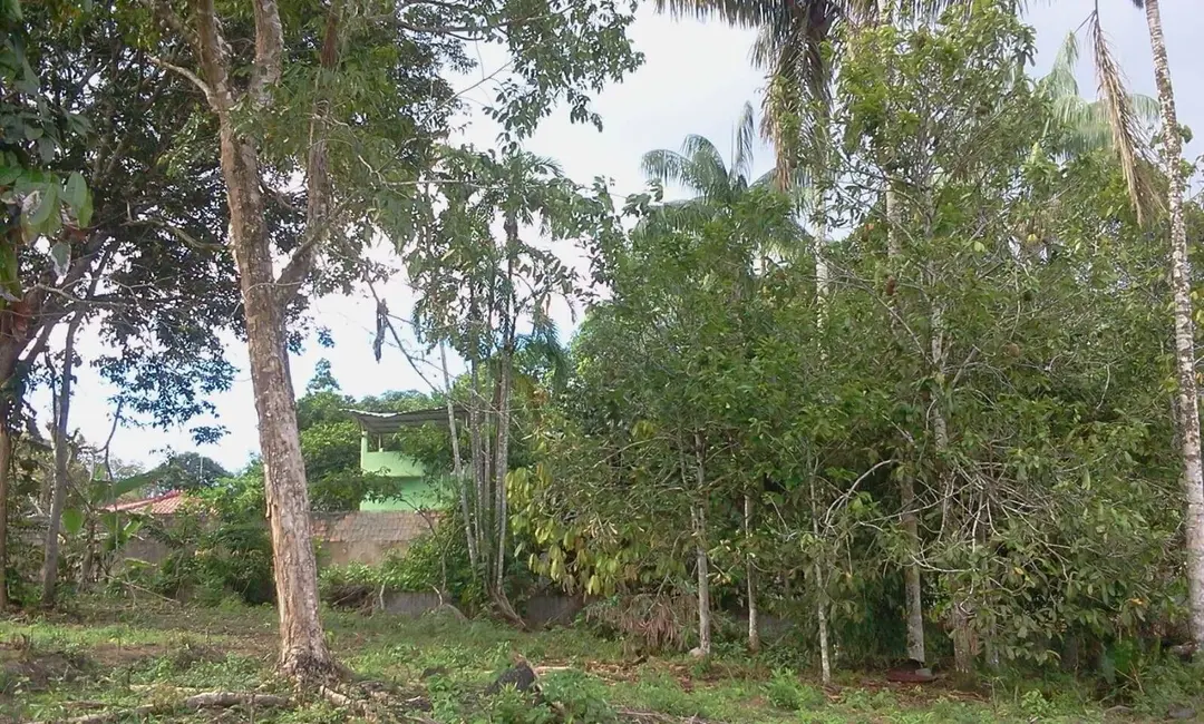 Foto 4 de Terreno / Lote à venda, 4800m2 em Tarumã, Manaus - AM