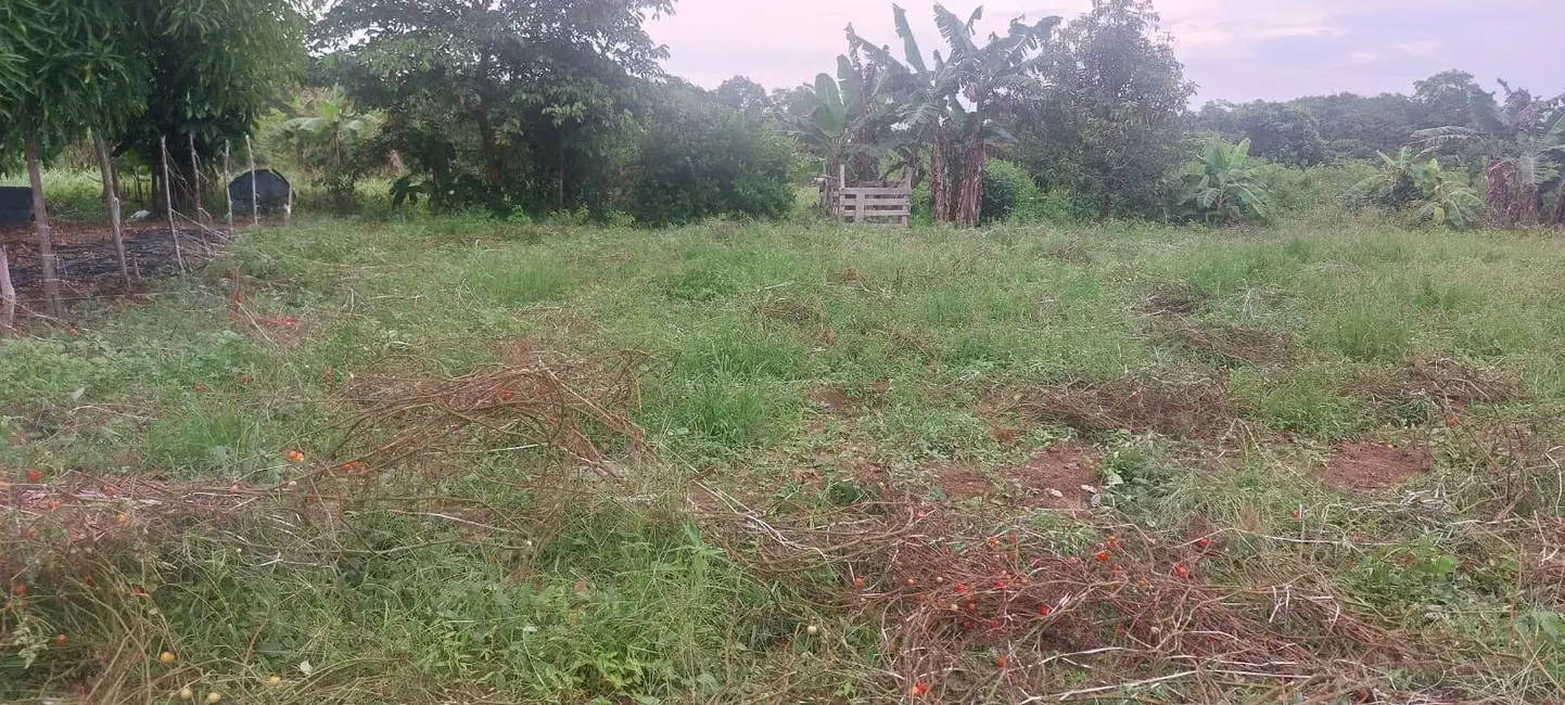 Foto 6 de Chácara à venda, 1120m2 em Iranduba - AM