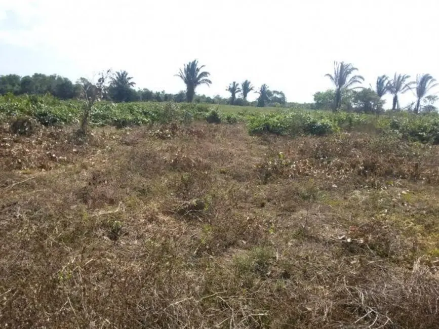 Terreno / Lote à venda, 5000m2 em Iranduba - AM - imagem 3 Foto 3 de Terreno / Lote à venda, 5000m2 em Iranduba - AM