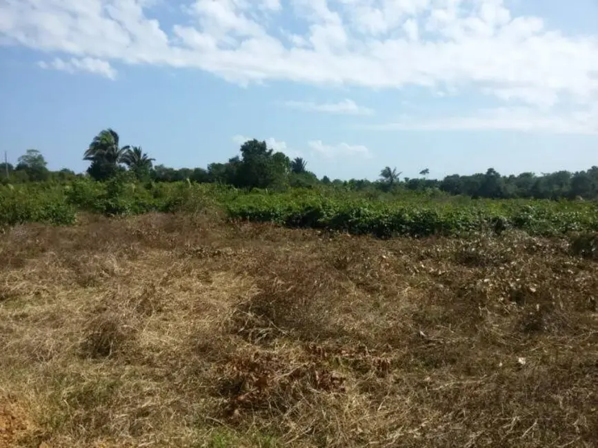 Foto 3 de Terreno / Lote à venda, 5000m2 em Iranduba - AM